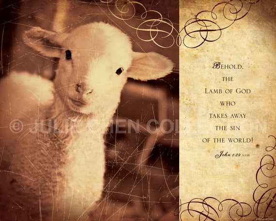 behold the lamb scripture